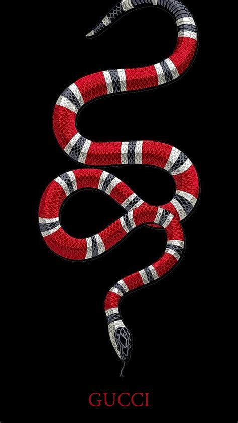 snake in gucci